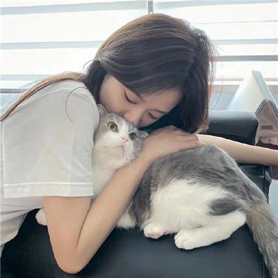 猫眼神探之红莲封面